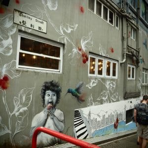 UB00012 Shelley Street